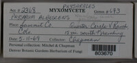 Image Associated With the Occurence